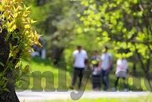 久久精品熟女亚洲av麻豆动图-審美探秘,重生视觉艺术的火花——熟女魅力风采集合录