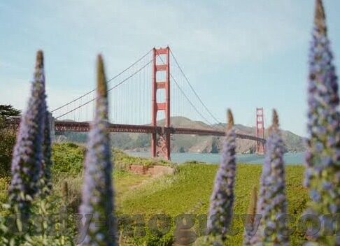 糖心vlog最新下载网址-掌握最新，糖心Vlog的精彩时刻——解锁下载全攻略