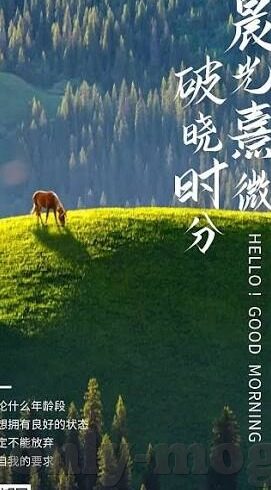 亚洲av日韩在线观看中文可以-探索亚洲影视文化的多元视角，日韩在线观看的中文体验